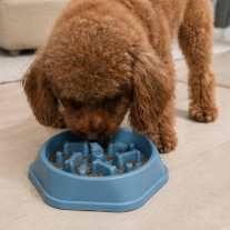 Slow Puzzle feeder bowl for Dogs