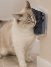 2-in-1 Wall Mounted Cat Grooming & Scratching Post