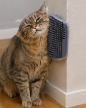 2-in-1 Wall Mounted Cat Grooming & Scratching Post