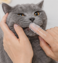Multi-finger toothbrushes for Cats and Dogs