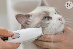Electric Dog/Cat Paw Trimmer with LED Light