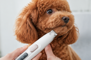Electric Dog/Cat Paw Trimmer with LED Light