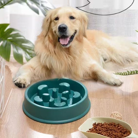 Slow Puzzle feeder bowl for Dogs